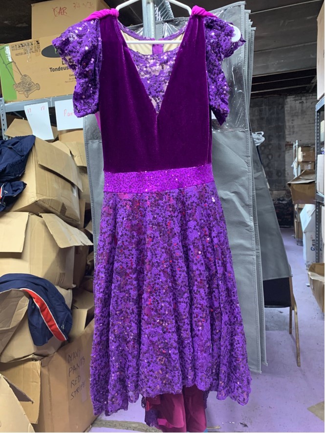 Set of 5 Purple Guard/Band Front Dresses