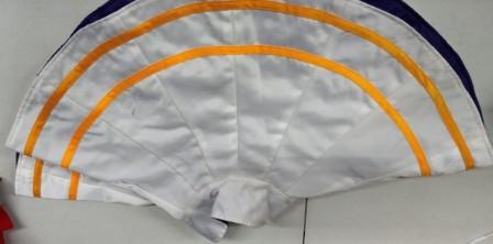 Set of 45+ Purple, White and Yellow Band Front Skirts & Vests
