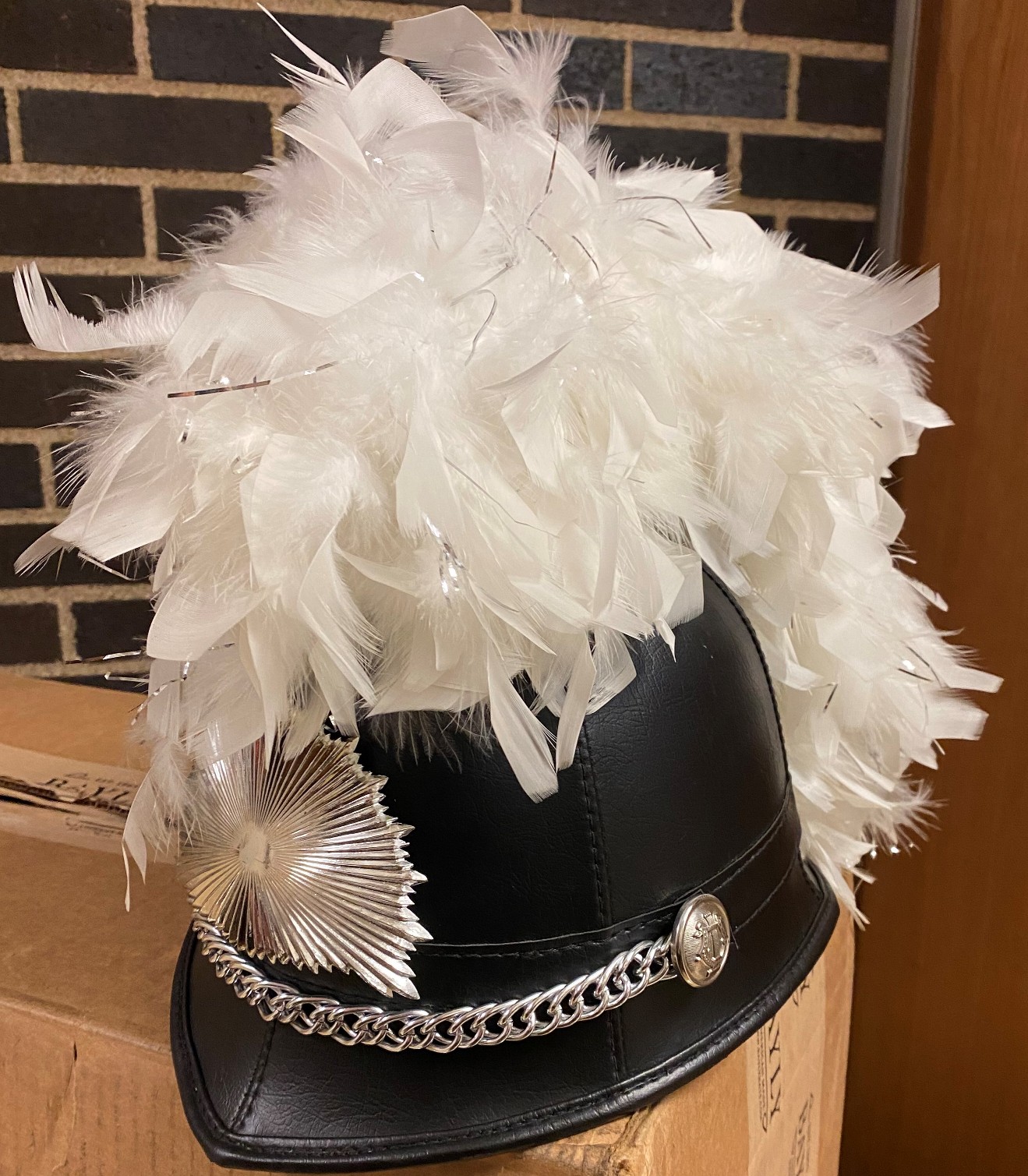 110 Black Helmets and White Plumes