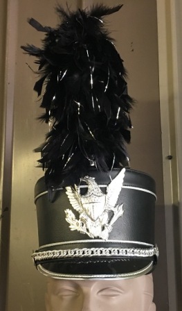 Item#0110BlackSilverPlumes100 Item Description: This is a set of 20 black feather plumes with silver