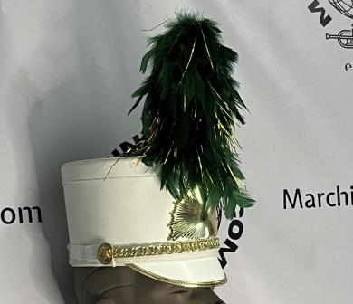 60 9” Green Feather Plumes with Gold