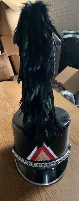 Iridescent black feather plumes Item Description: This is a set of 20 gently used, iridescent black 