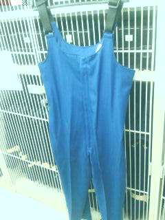 150 Blue and Gold DeMoulin Band Uniforms