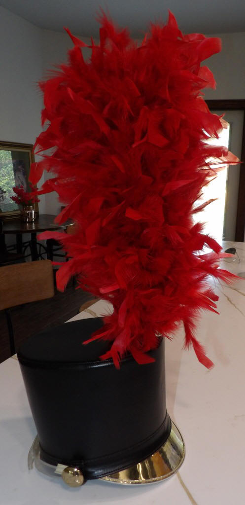Set of 100+ 18" Red Plumes