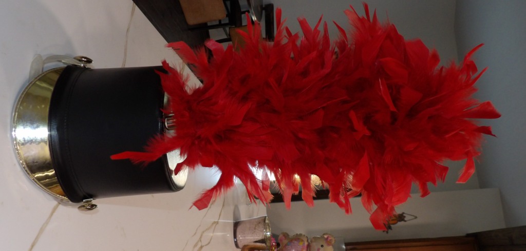 Set of 100+ 18" Red Plumes