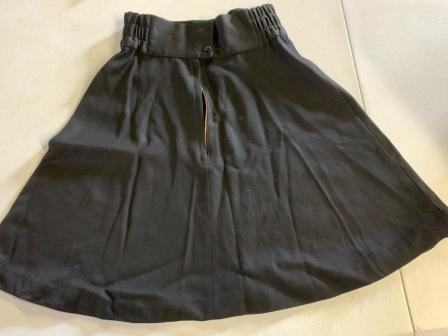 Lot of 33 Black DeMoulin Band Front Skirts