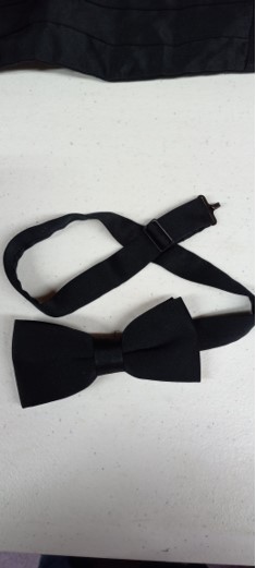 This is a lot of concert bowties and