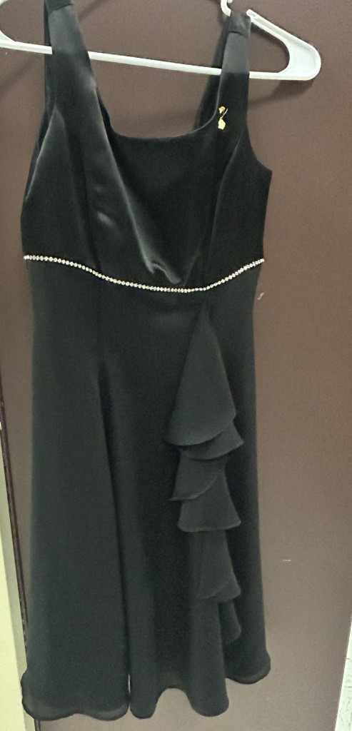 27 Black Concert Dresses (a variety of sizes)