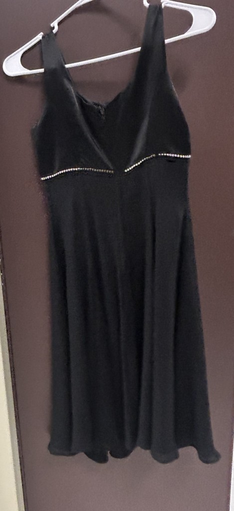 27 Black Concert Dresses (a variety of sizes)